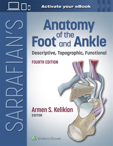 Download Sarrafian s Anatomy of the Foot and Ankle  Descriptive  Topographic  Functional PDF Kindle Editon